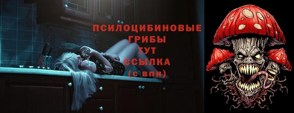 индика Заводоуковск