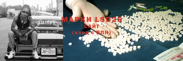 индика Заводоуковск