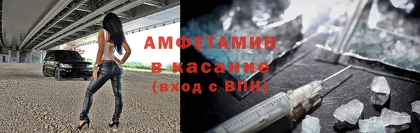 индика Заводоуковск